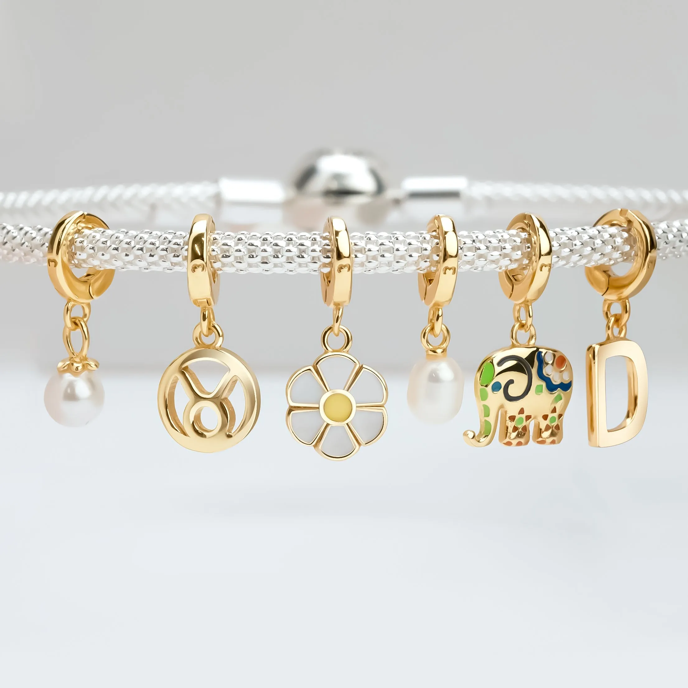 "Indian Elephant" Charm