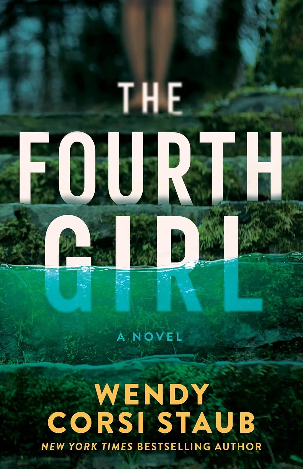 The Fourth Girl: A Novel (Haven Cliff) Paperback  April 1, 2025